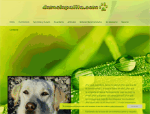 Tablet Screenshot of damelapatita.com